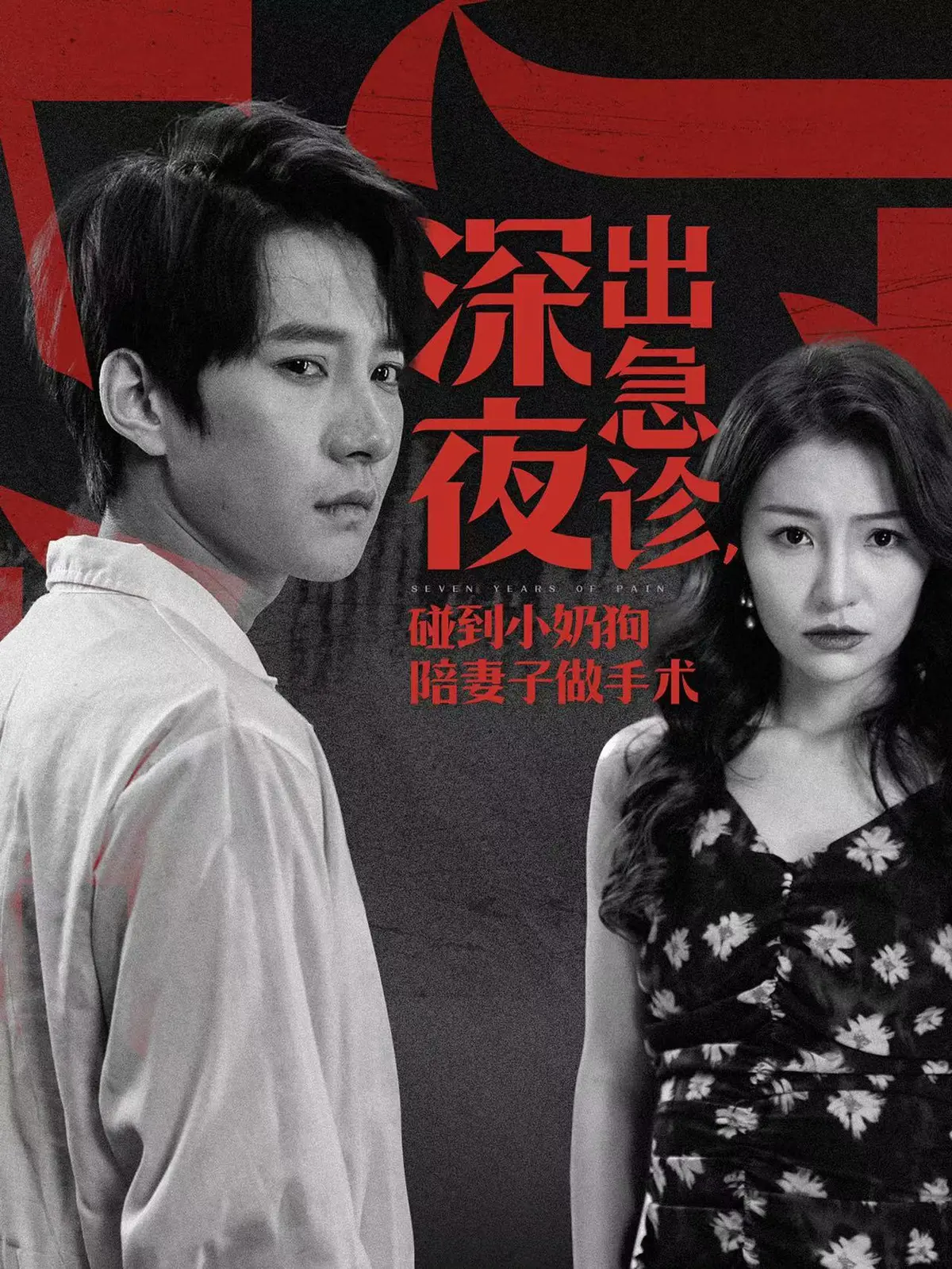 《深夜出急诊碰到小奶狗陪妻子做手术》相关资源图片