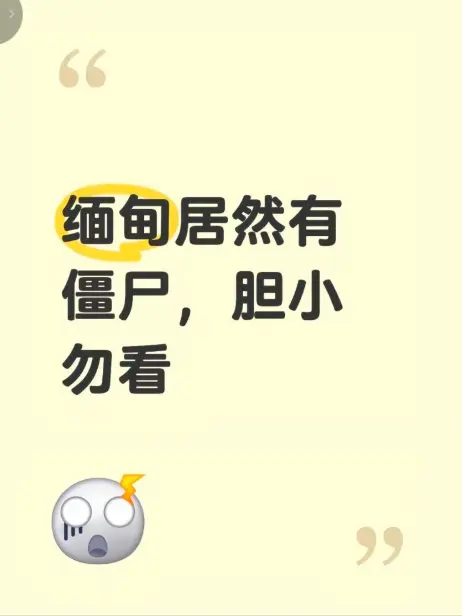 《缅甸僵尸出土事件》相关资源图片