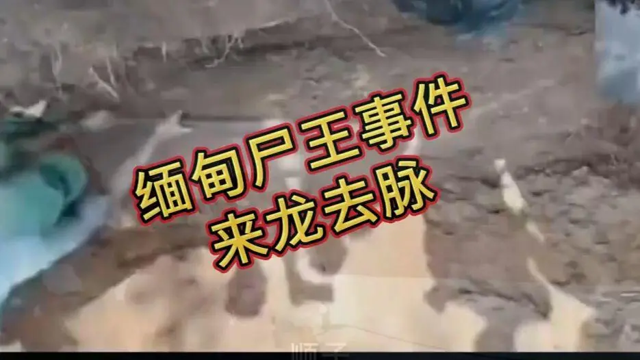 《缅甸僵尸出土事件视频》相关资源图片