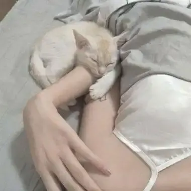 《森泽佳奈》相关资源图片