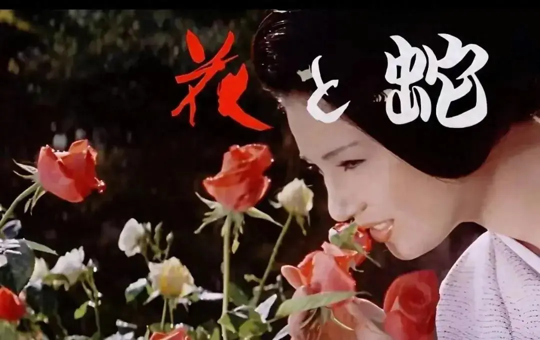 《花与蛇3：白衣绳奴》2025日本电影高清版 - 1080P无删减在线观看 - 国语中文字幕免费全集播放