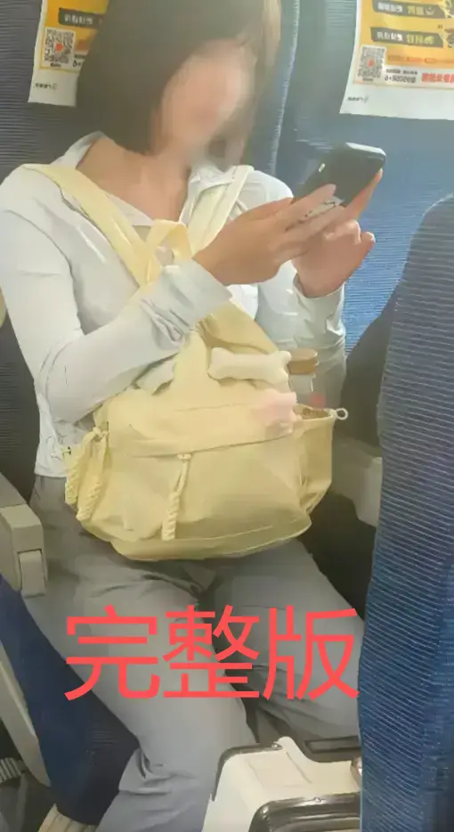 高铁短发女孩54秒原视频-深度解读高铁妹子是什么梗-包含夸克/迅雷多种下载方式-60秒后续视频即将更新