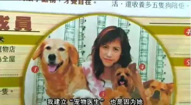 《女人与狗》未删减版HD 1080P高清免费播放-欧美电影《女人与狗》全集在线观看-无广告无缓冲夸克网盘