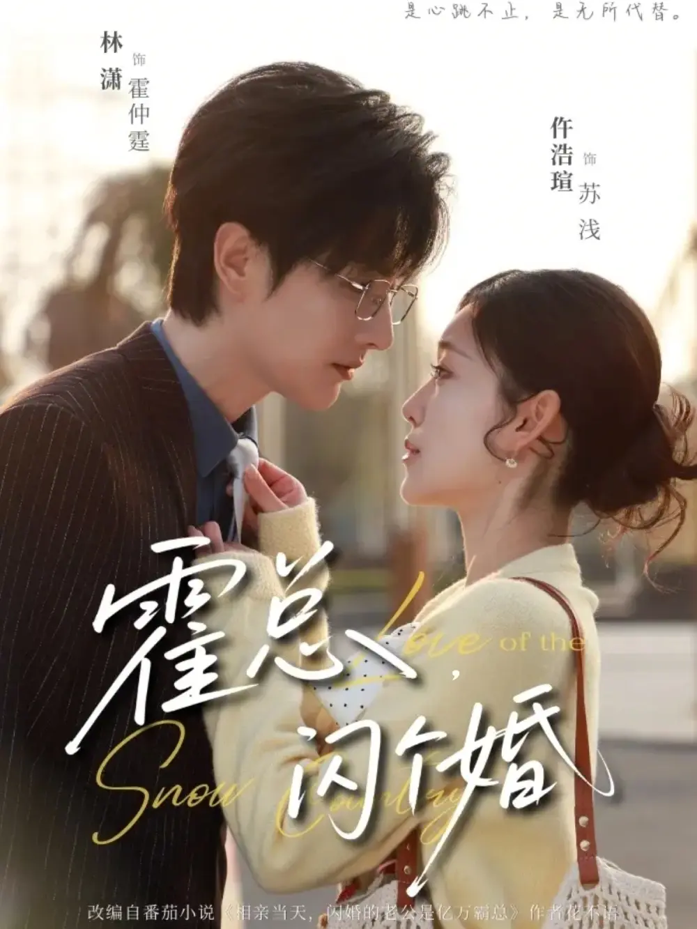 《霍总,闪个婚》相关资源图片