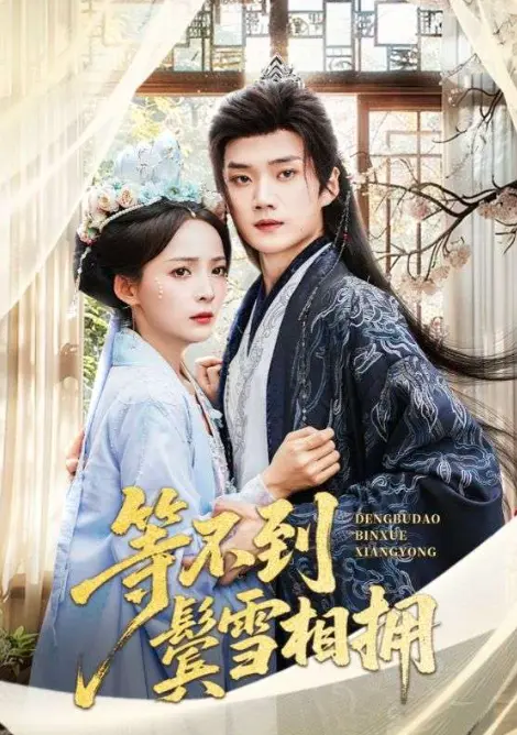 短剧《等不到鬓雪相拥》61集全集免费看_高清完整版在线播放_策驰影院正版资源下载