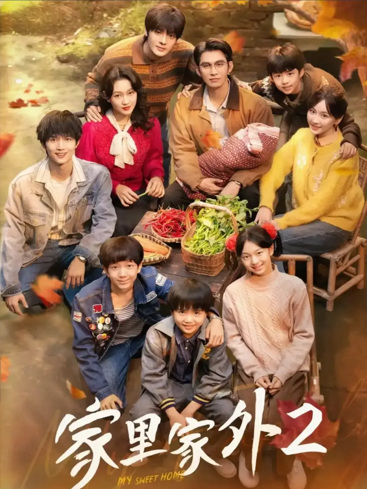 《家里家外2》国产短剧全季 - 1080P高清免费观看 - 全集资源在线播放