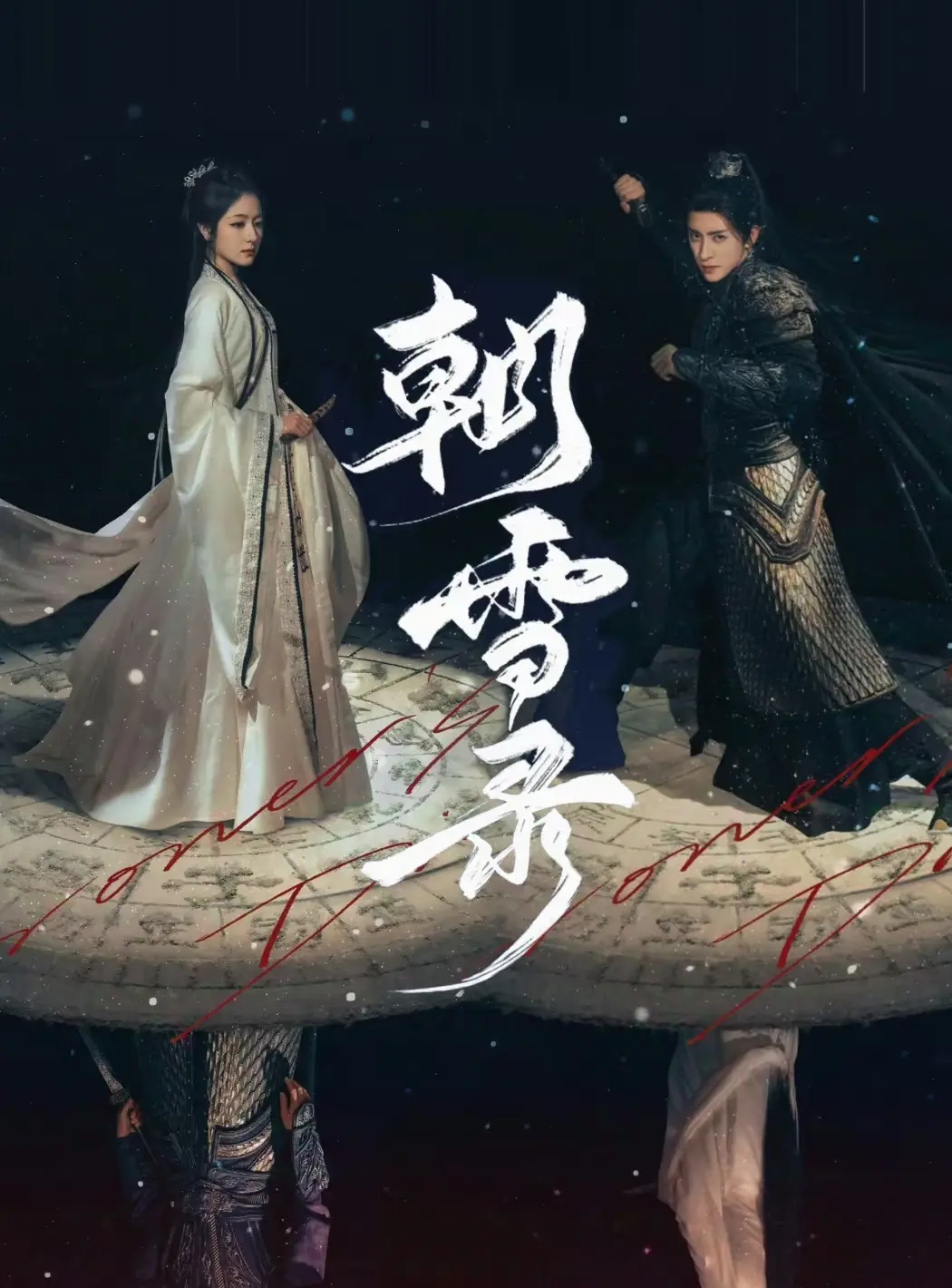 国产电视剧《朝雪录》全集免费观看_大陆剧高清在线播放_朝雪录1080P资源_手机电脑均可流畅播放