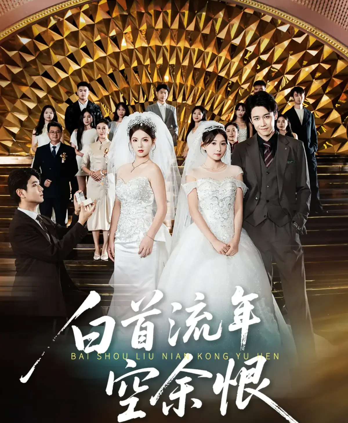 《白首流年空余恨》1-98集短剧免费看_4K超清中字在线播放_百度云/夸克网盘资源下载