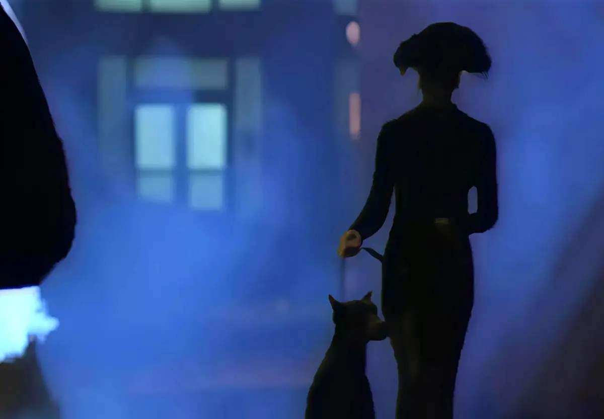 《遛狗者/dogwalker》HD高清无删减版 - 意大利满天星电影在线看 - 正片中字免费播放
