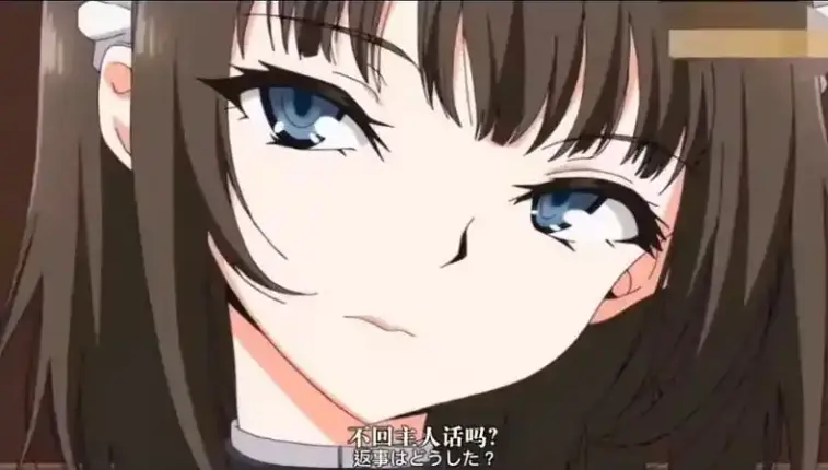 女仆的教育动漫第一季全集【1-12集】-《女仆的教育》HD高清无广告在线播放-无删减萌系动画完整版资源