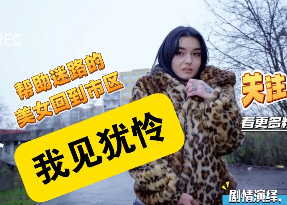 《捷克街头钞能力》全网同步更新免费看-捷克街头钞能力全集1080P高清播放-无广告超清画质在线观看