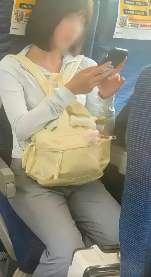 资源图片