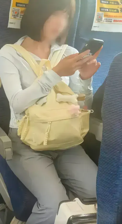 资源图片