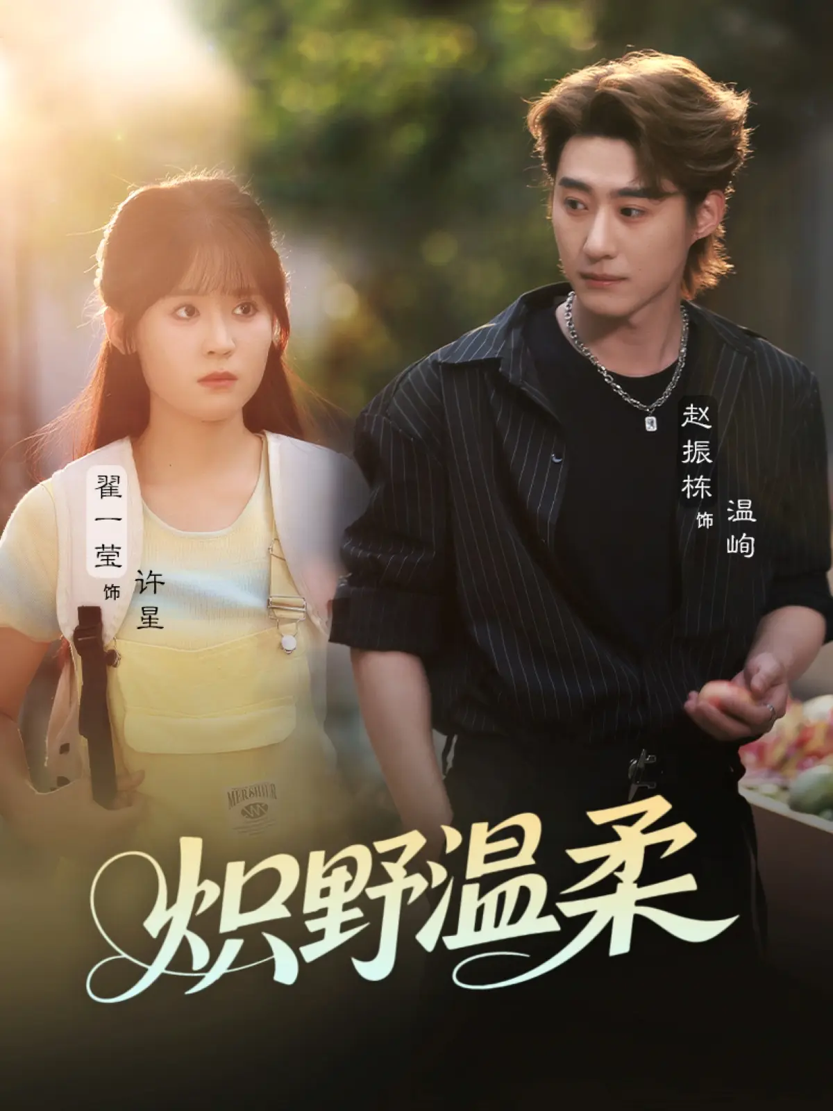 热门短剧《炽野温柔》全集免费观看-1080P高清无广告在线播放-《炽野温柔》完整版资源网盘秒存