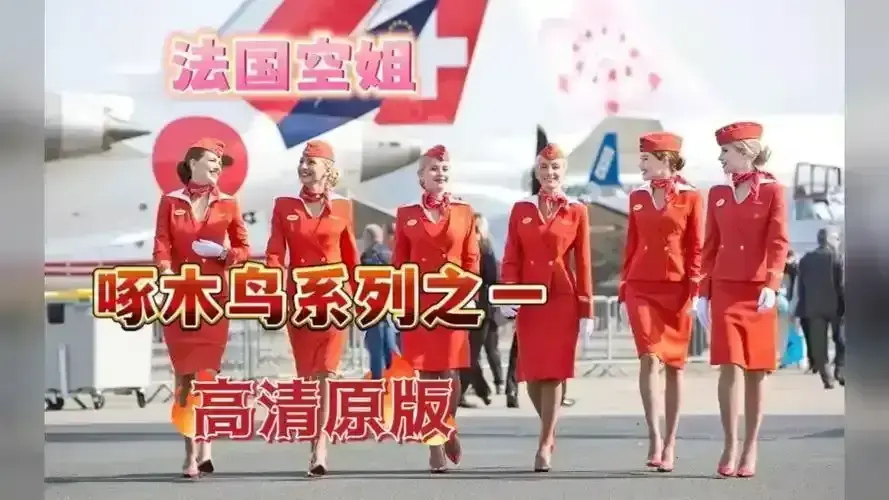 《法国空姐》三季全（2017-2023）未删减版免费看-法国空姐全集高清无广告在线观看-4K超清法语原音航空剧蓝光资源