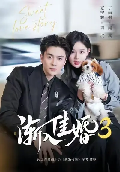 《渐入佳婚3》全集无删减版在线观看-渐入佳婚3高清播放免费观看-1080P高清画质完整版