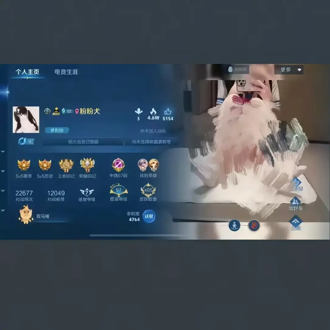 粉粉犬王者视频《粉粉犬王者荣耀主页》全集 - 皮肤国标技巧教学 - 流星影院HD高清流畅播放