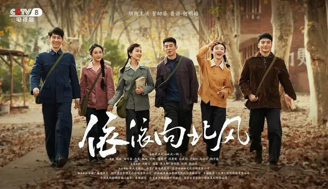 《依依向北风》国产电视剧1080P - 完整版无广告在线看 - 网盘观看资源免费下载